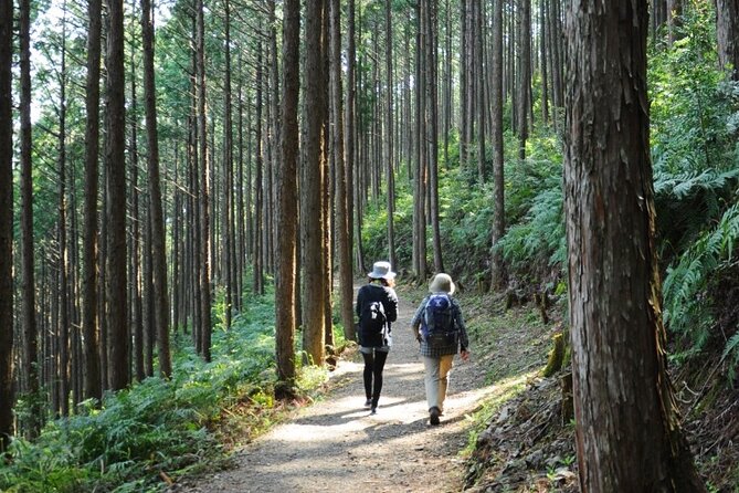 Kumano Kodo Pilgrimage Tour With Licensed Guide & Vehicle - Pricing Information