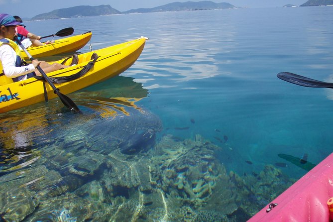 Lets Go to a Desert Island of Kerama Islands on a Sea Kayak - Fitness and Accessibility Requirements