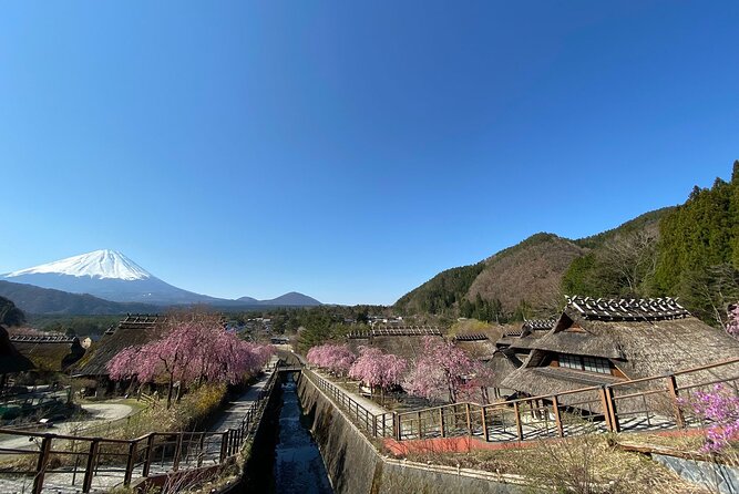 Mt Fuji Full-Day Tour By Car - Reviews and Ratings