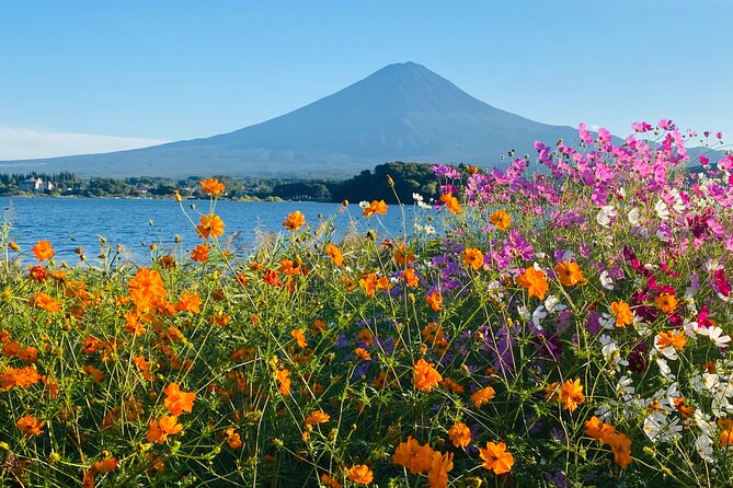 Mt.Fuji Hakone Private Tour With English Speaking Chauffeur - Traveler Accessibility Options