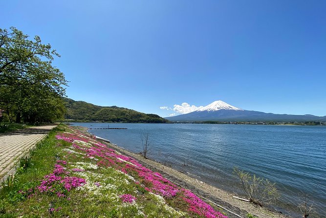 Mt Fuji Half-Day Tour By Car - Directions to Meeting Point