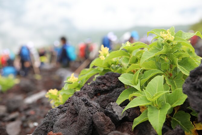 Mt.Fuji Trekking 1 Day Tour up to the Summit - Pricing and Reservation Details