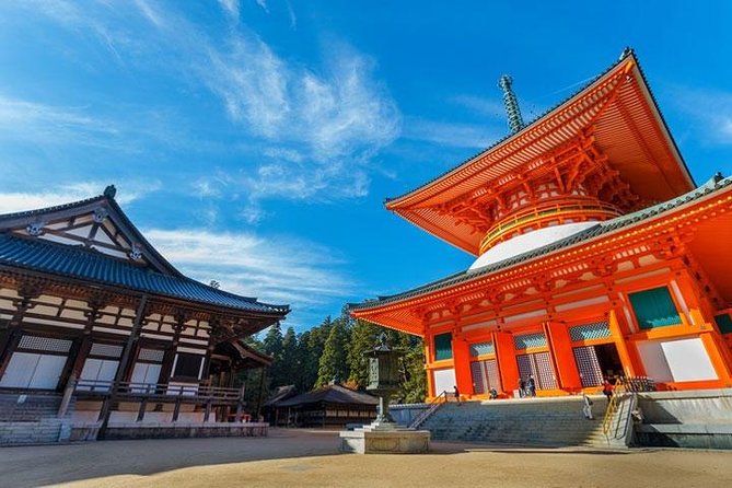 Mt. Koya Sacred Half-Day Private Tour With Government Licensed Guide - Reviews