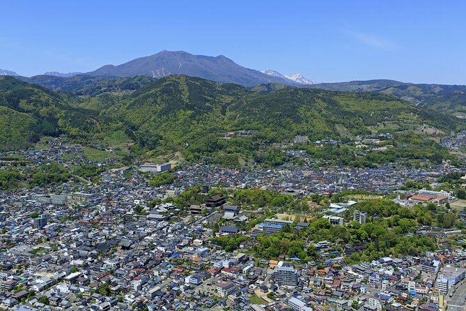 Nagano All Must-Sees Half Day Private Tour With Government-Licensed Guide - Booking Information