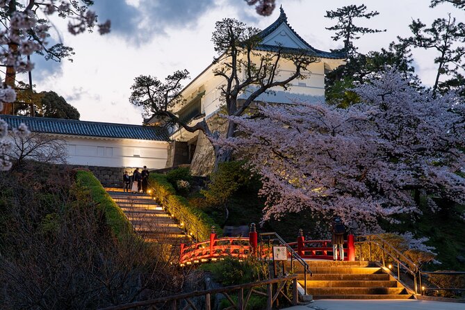 Ninja, Samurai, Odawara Castle Experience - Accessibility Features