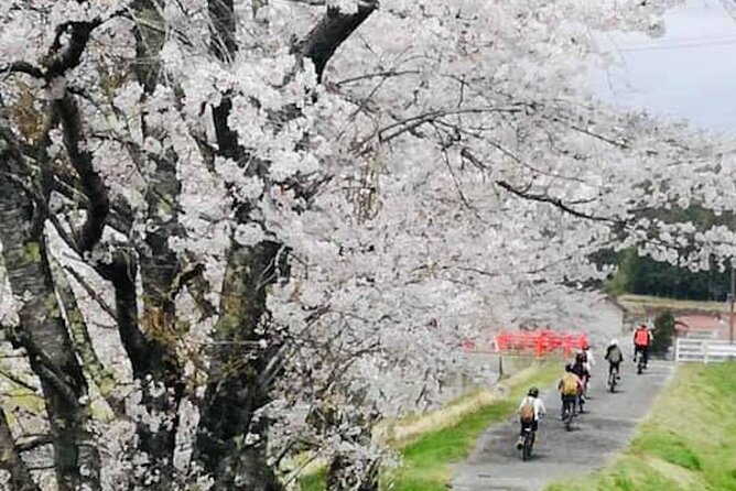 Oasa Country Cycling (Easy Access From Hiroshima 1 Hr Scenic Bus) - Reviews and Ratings