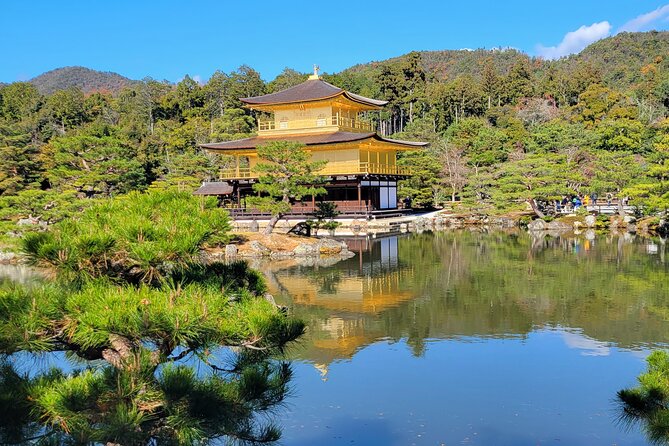 Private Guided Historical Sightseeing Tour in Kyoto - Tips for a Great Experience