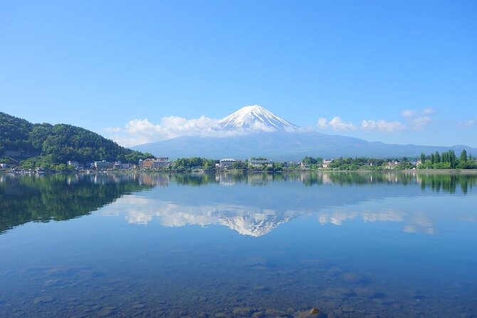 Private Mt. Fuji Custom Tour From Tokyo - Accessibility Features and Amenities