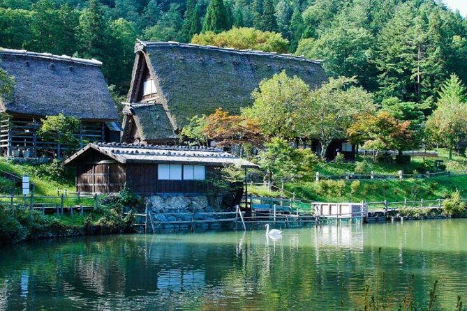 Takayama Full-Day Private Tour With Government Licensed Guide - Traveler Reviews and Feedback