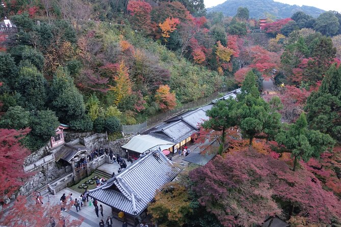 The Original Early Bird Tour of Kyoto. - Guide and Expertise