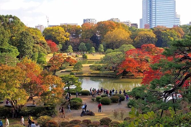 Tokyo Self-Guided Audio Tour - Reviews and Ratings