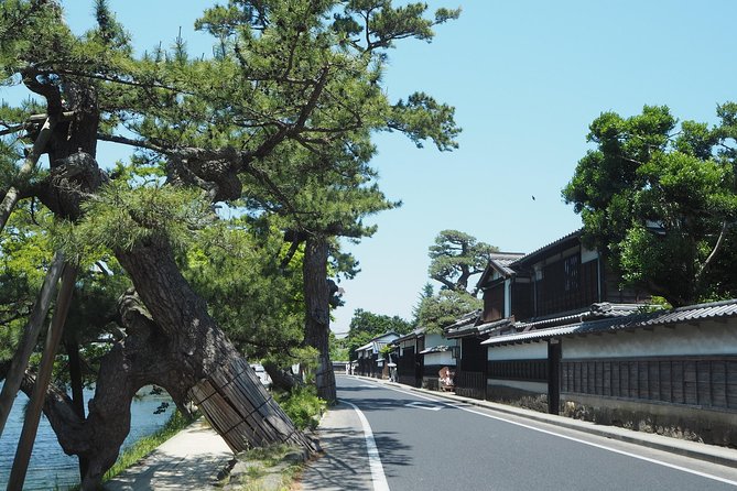 An E-Bike Cycling Tour of Matsue That Will Add to Your Enjoyment of the City - Participant Requirements and Restrictions