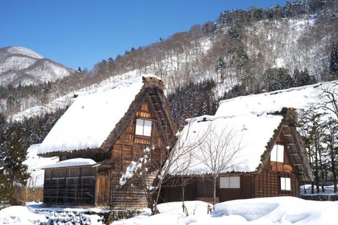 Day Trip for Shirakawago ,Takayama & Gujo Hachiman From Nagoya - Review Summary