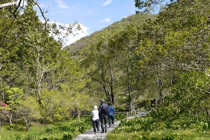 Easygoing Nature Walk in Hakone Tour - Guest Reviews