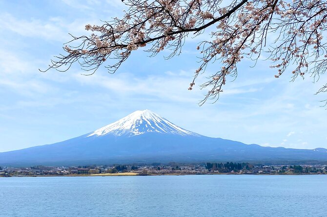 Full Day Private Tour to Mt Fuji by Luxury Vehicle - Meeting Points and Pickup