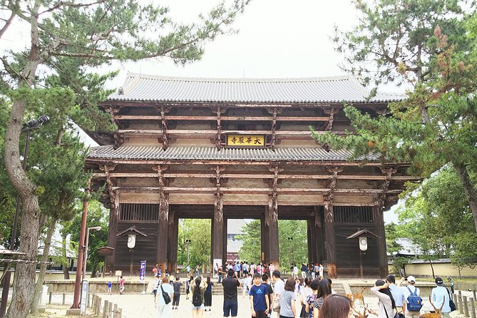 Fushimi Inari & Nara Highlights Tour - Accessibility Features