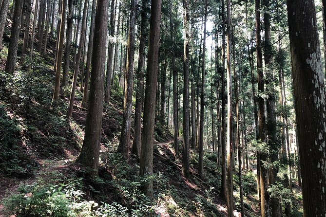 Historic and Natural Guided Hike in Yoshino - Local Guide and Support