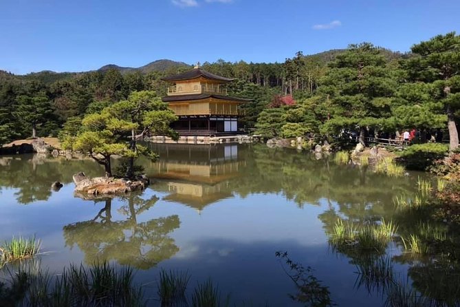 KYOTO-OSAKA Day Tour by Private Car and Driver (Max 4 Pax) - Accessibility and Suitability