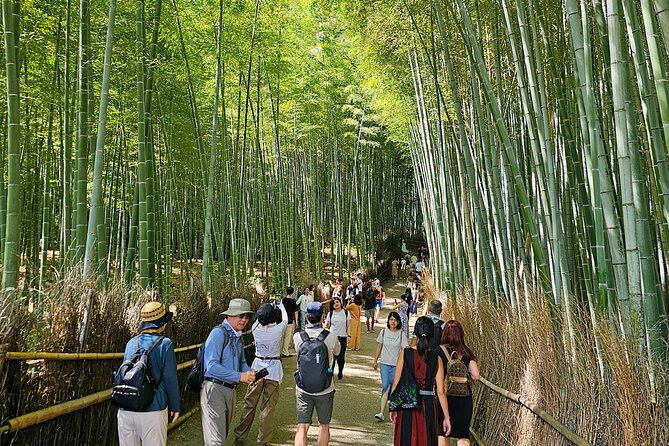 Kyotos Arashiyama Bamboo Grove: 3-Hour Guided Tour - Reviews and Ratings