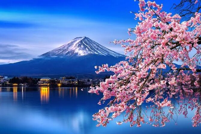 Mount Fuji and Hakone Private Tour With English Speaking Driver - Cancellation Policy