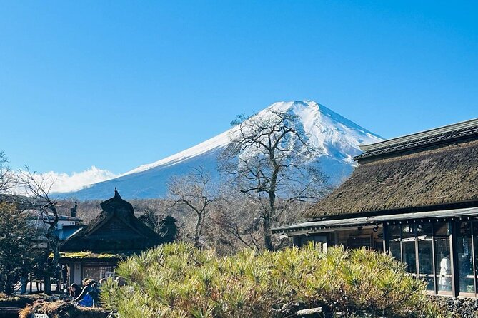 Mount Fuji Private One Day Tour With English Speaking Driver - Tips for a Successful Tour