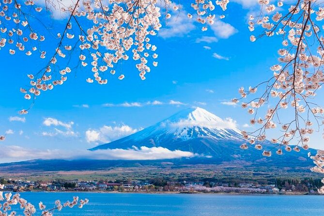 Mt. Fuji Area Tour Tokyo DEP: English Speaking Driver, No Guide - Optional Drop-off in Hakone