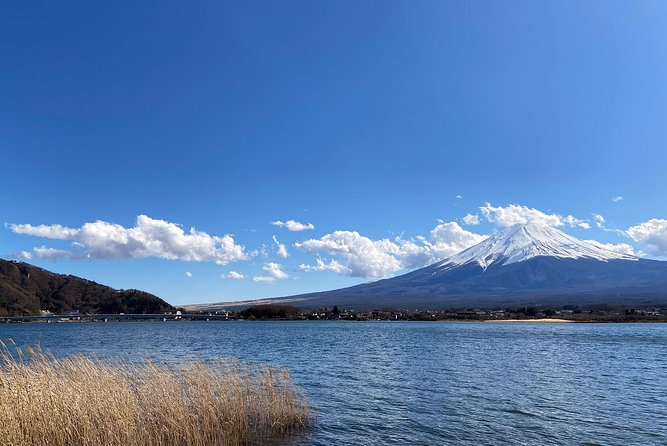 Mt Fuji Half-Day Tour By Car - Important Considerations