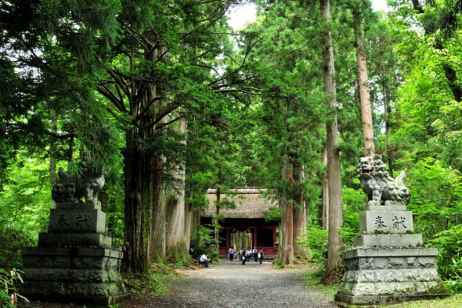 Nagano All Must-Sees Half Day Private Tour With Government-Licensed Guide - Traveler Reviews and Experiences