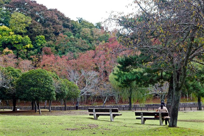 Nara Custom Full Day Tour - Preparing for Your Journey