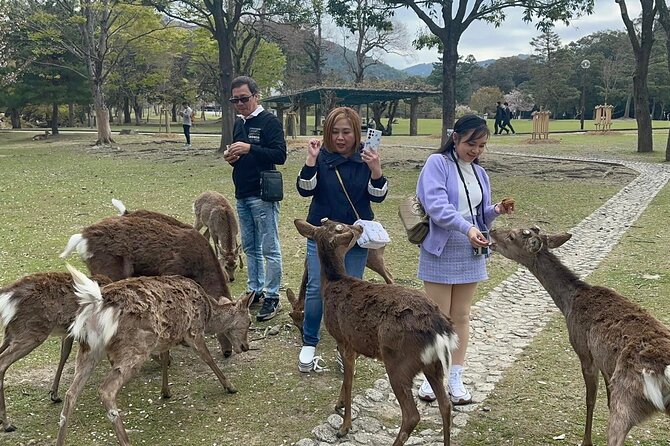 NARA Custom Tour With Private Car and Driver (Max 9 Pax) - Private Group Benefits