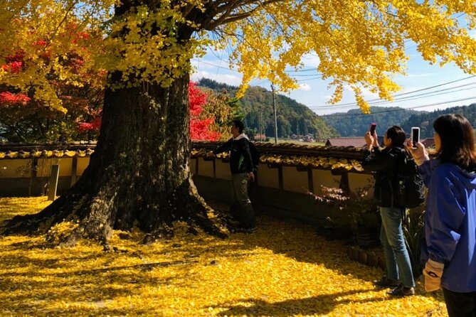 Oasa Country Cycling (Easy Access From Hiroshima 1 Hr Scenic Bus) - Directions to Oasa