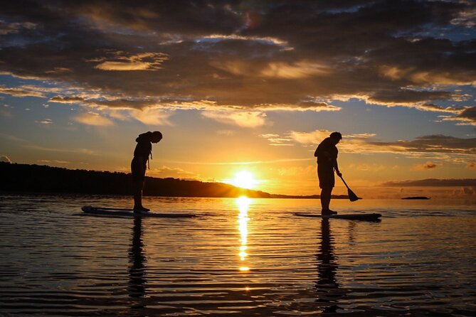 [Okinawa Iriomote] Sunset SUP/Canoe Tour in Iriomote Island - Safety Measures and Requirements