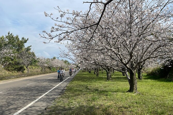 One Day E Bike Round Tour in Sakurajima - Travel Tips for Participants