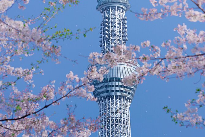 Private Tour by Car in Tokyo - Accessibility Features