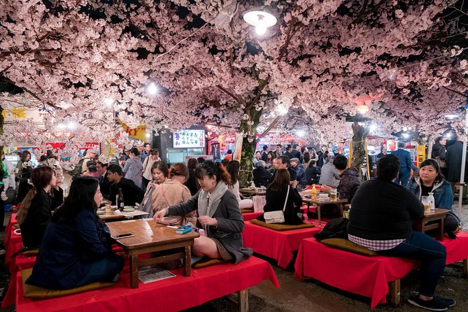 Private & Unique Kyoto Cherry Blossom Sakura Experience - Accessibility Options