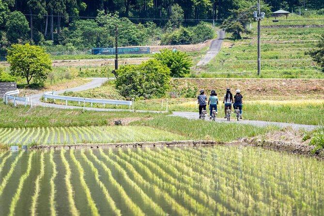 Rural Villages & Brewery Town: Private 1-Day Cycling Near Kyoto - Customer Reviews and Feedback