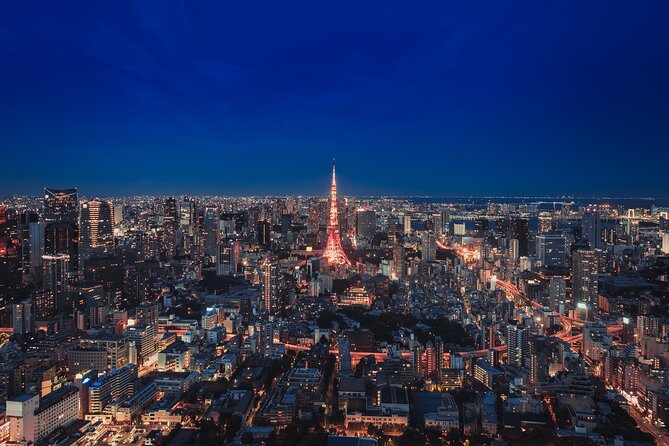 Tokyo Like a Local: Customized Private Tour - Tips for Your Tour