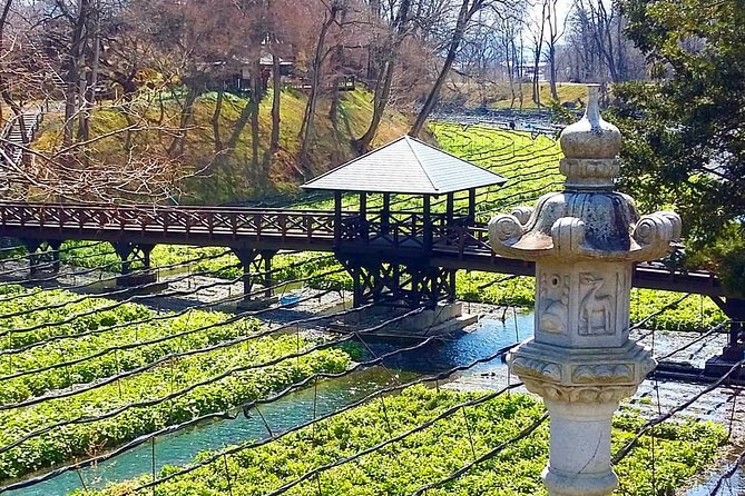 Wasabi Farm Discovery Walking Tour - Customer Reviews