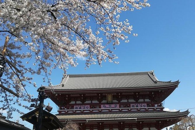 Cherry Blossom Highlights, Asakusa, Ueno, Imperial Palace Garden - Customer Testimonials and Feedback