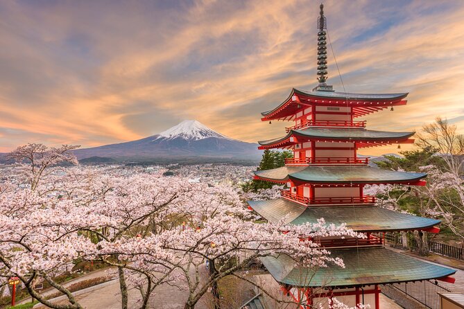 Custom 2-Day Tour: Mt Fuji and Tokyo Private Car & English Driver - Additional Activities and Costs