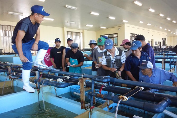 Explore Fishermen Island in Japan(Ise-Shima) - Booking Your Adventure