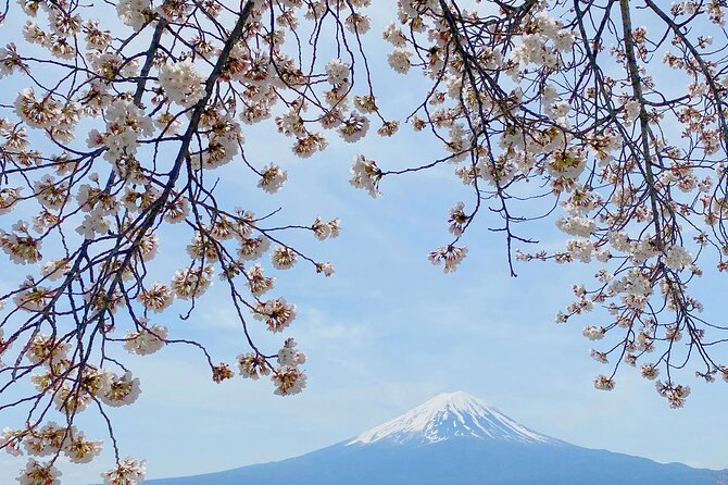 Full Day Private Tour to Mt Fuji by Luxury Vehicle - Additional Considerations