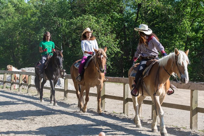 Horseback-Riding in a Country Side in Sapporo - Private Transfer Is Included - Additional Tips for Participants