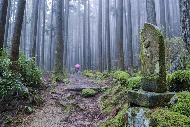 Kumano Kodo Pilgrimage Tour With Licensed Guide & Vehicle - Booking Process and Options