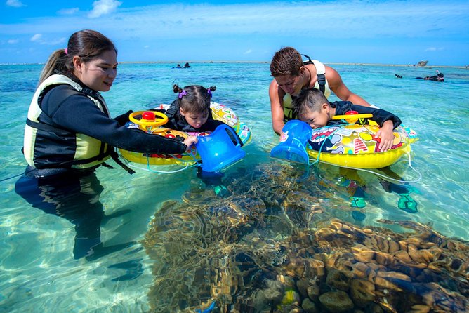 Miyakojima / Snorkel Tour to Enjoy Coral and Fish - Traveler Reviews and Experiences