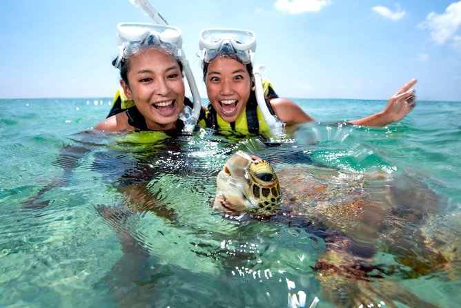 Miyakojima / Snorkel Tour to Swim With Sea Turtles - Customer Reviews and Ratings