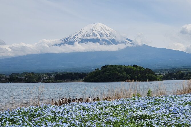 Mount Fuji Private One Day Tour With English Speaking Driver - Booking Your Tour