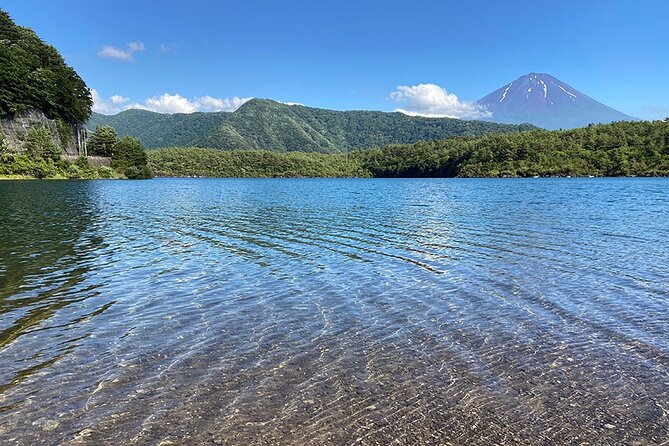 Mt Fuji Japanese Crafts Village and Lakeside Bike Tour - Customer Reviews and Feedback