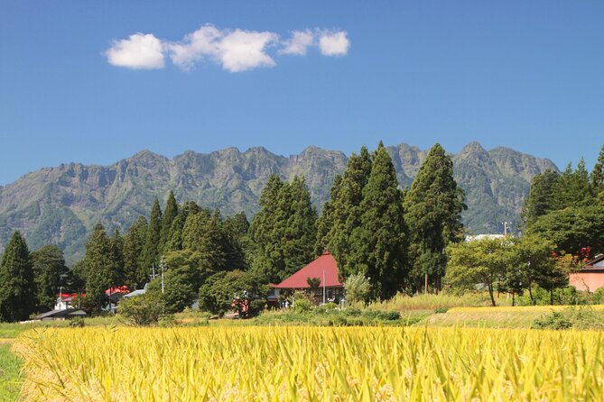 Nagano All Must-Sees Half Day Private Tour With Government-Licensed Guide - Accessibility Features