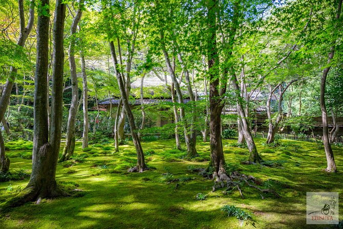 Private 3-hour Kyoto Arashiyama Rickshaw Tour - Customer Reviews and Ratings